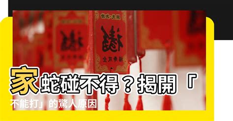 家蛇不能打|家中如有蛇入侵为何不能打？有什么根据？古代经验谈是否听取